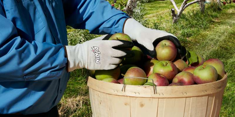 Guantes de Seguridad Maxima destreza Ninja Idol